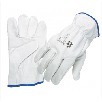 Head Gloves - EN388 White